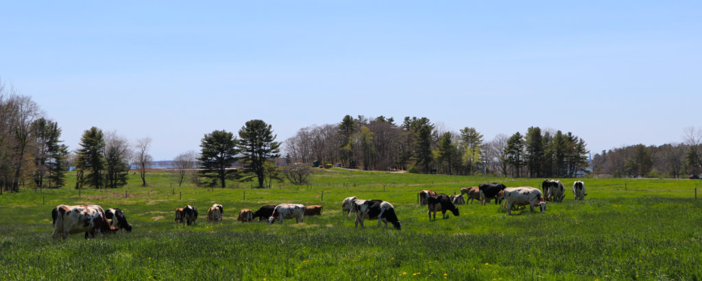 pasture-raised-meats-wolfe-s-neck