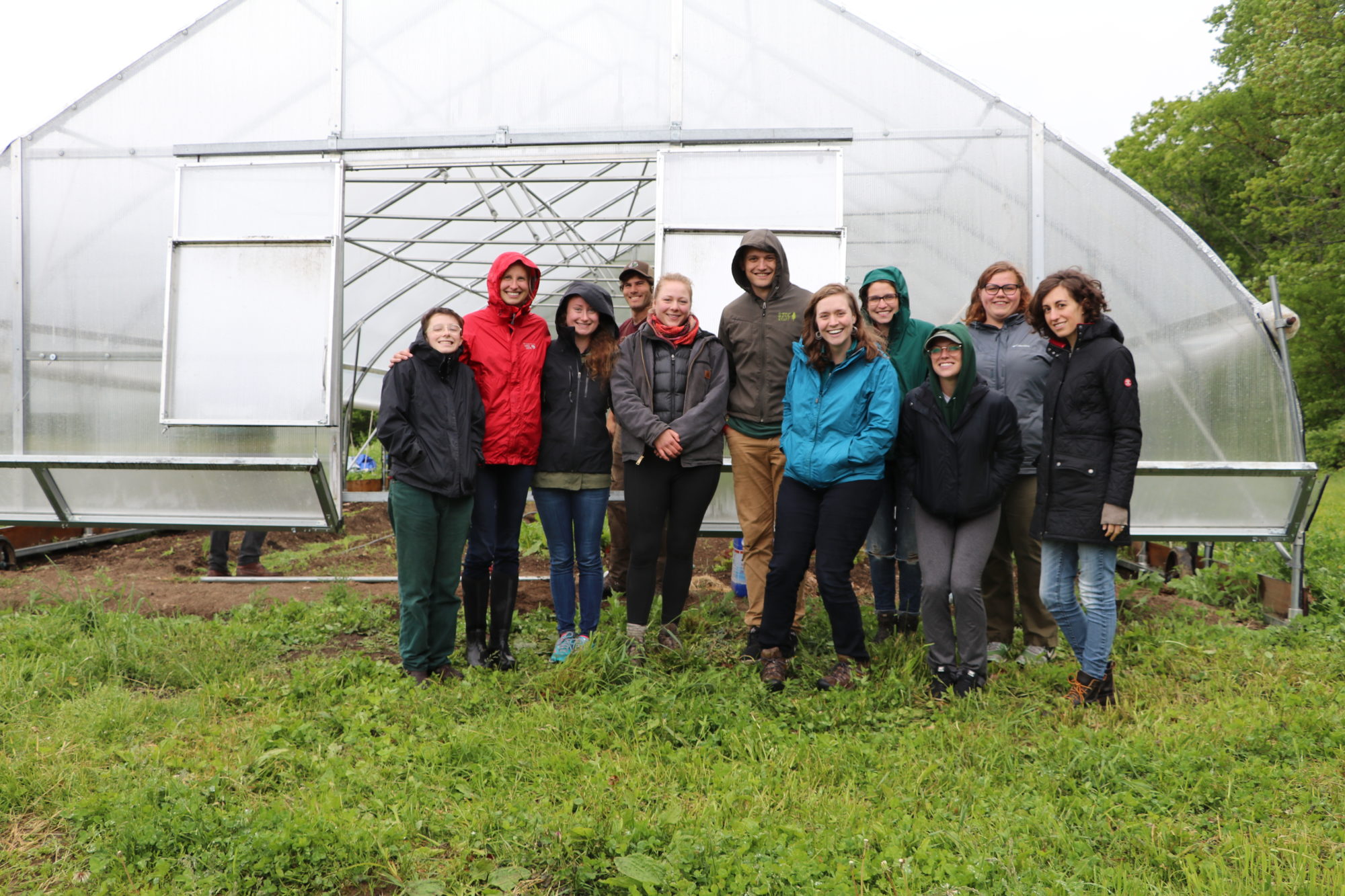 Greenhouse Move with Educators (VIDEO)