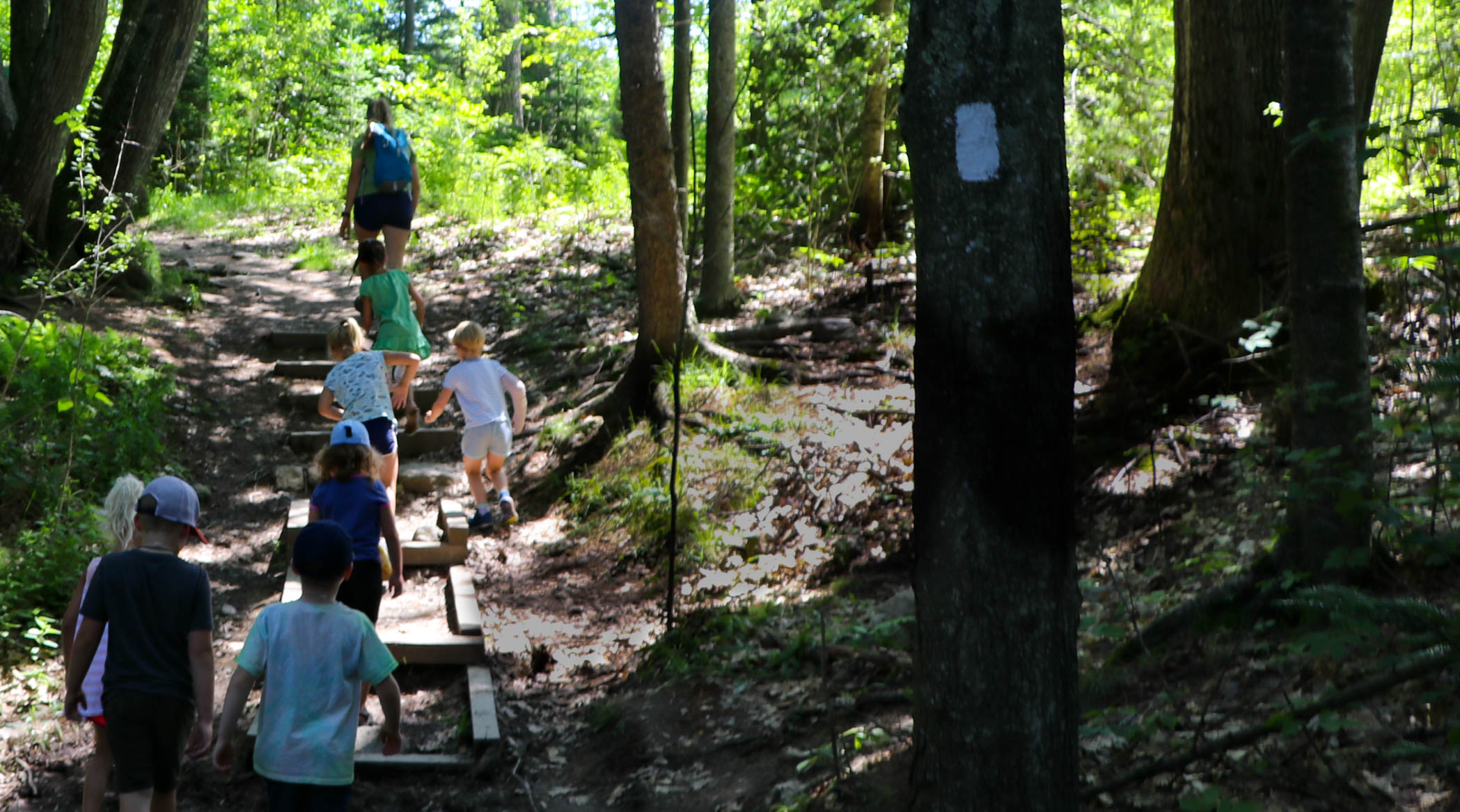 Taking it to the Trails