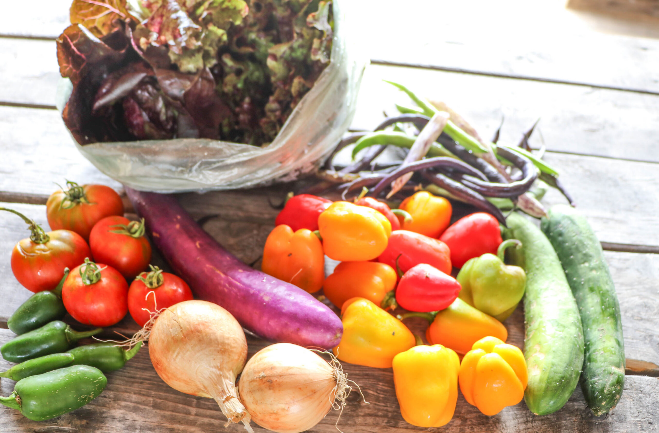 What’s In a CSA?