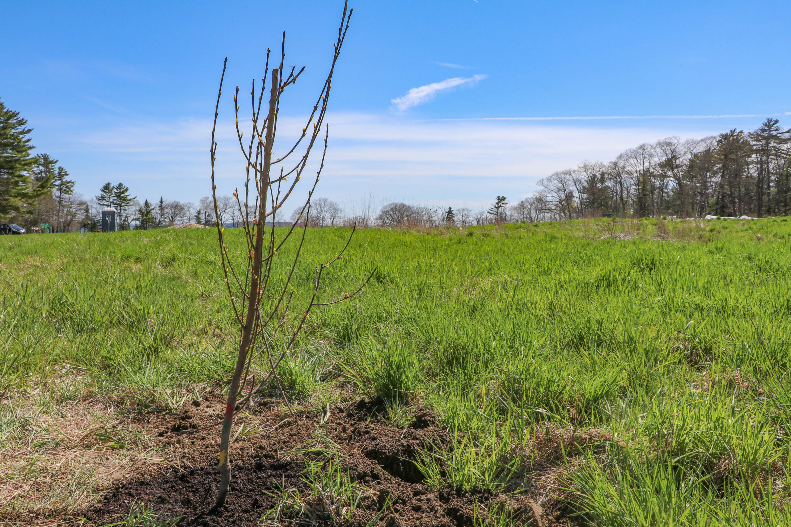 Earth Day Tree Planting (VIDEO)
