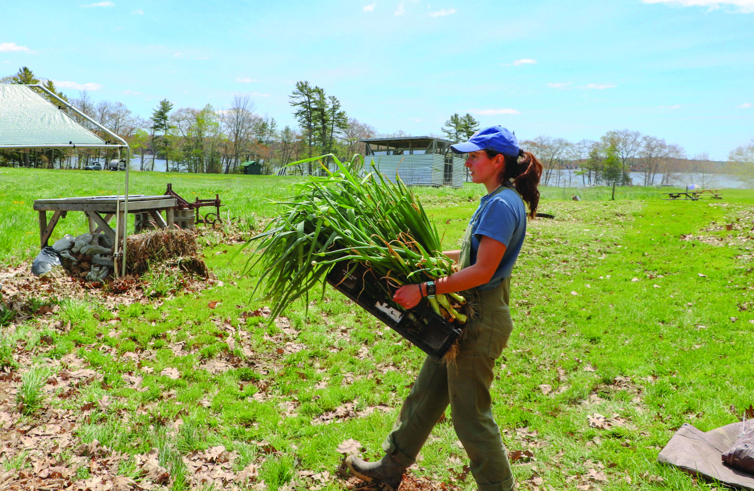 A Deeper Dig: Soil Health