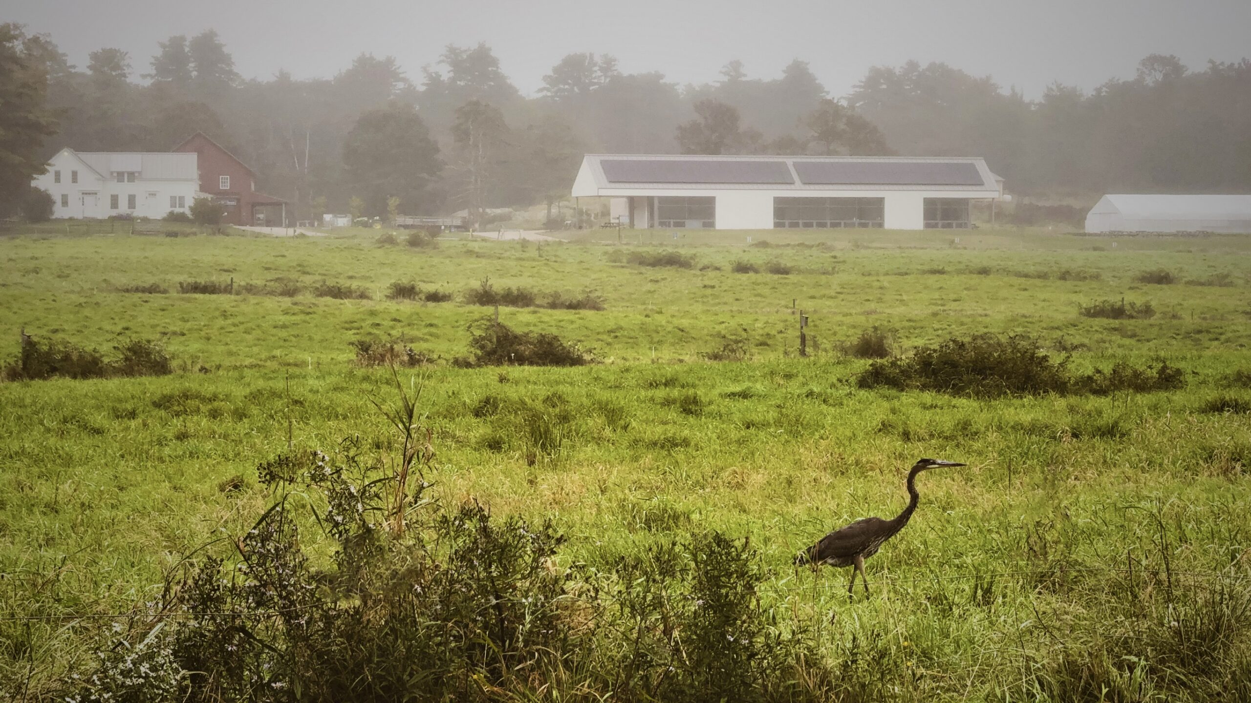 Regenerative to Climate-Smart: Fostering a Better Food System