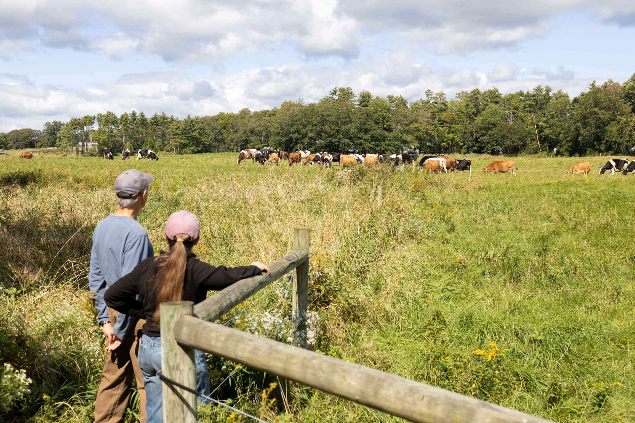 Chris and Debby watch cows in pasture