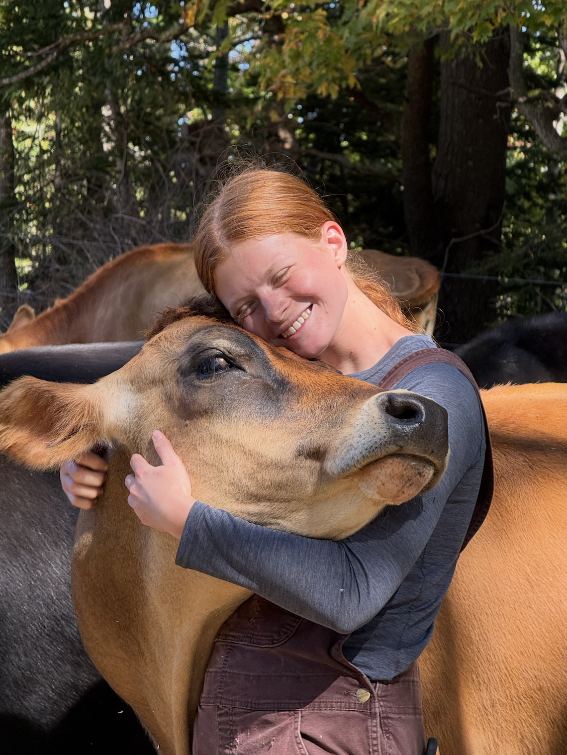 Gracie with Cows
