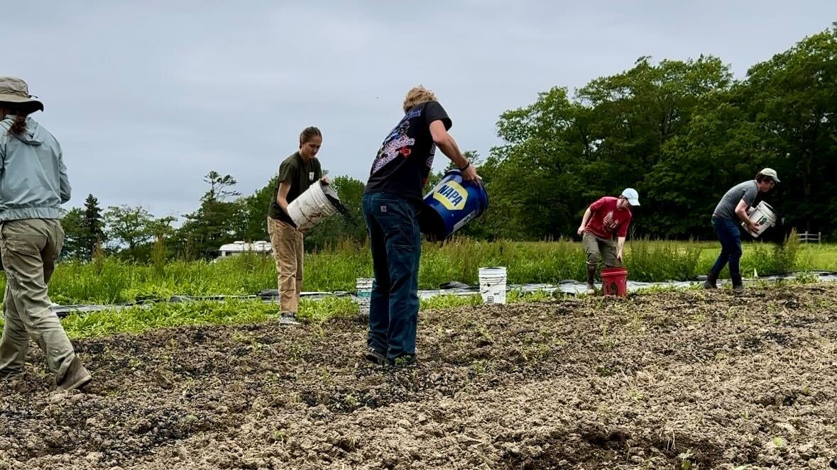 Biochar application at Wolfe's Neck Center.