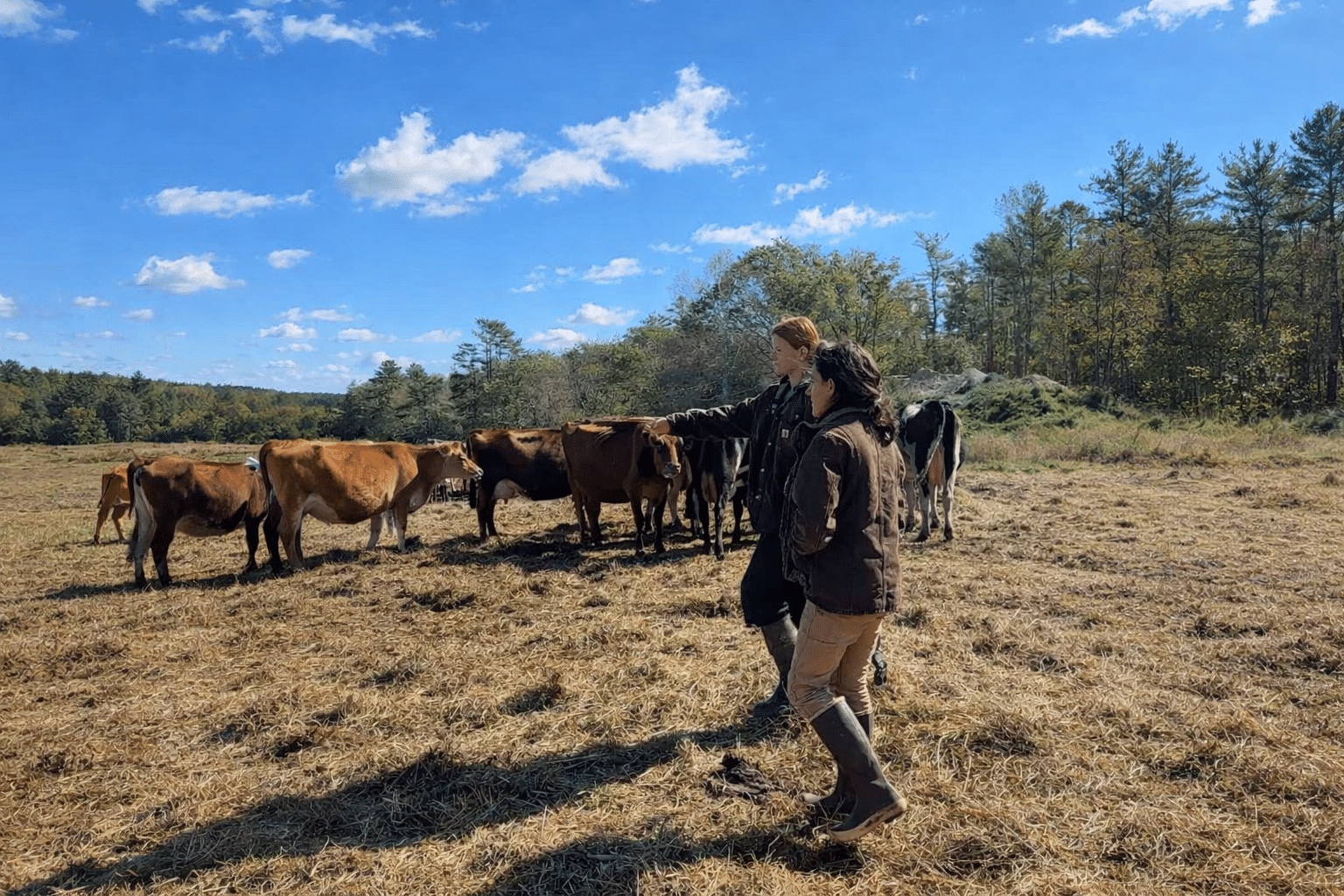 DGA Training in a field with Dairy Manager