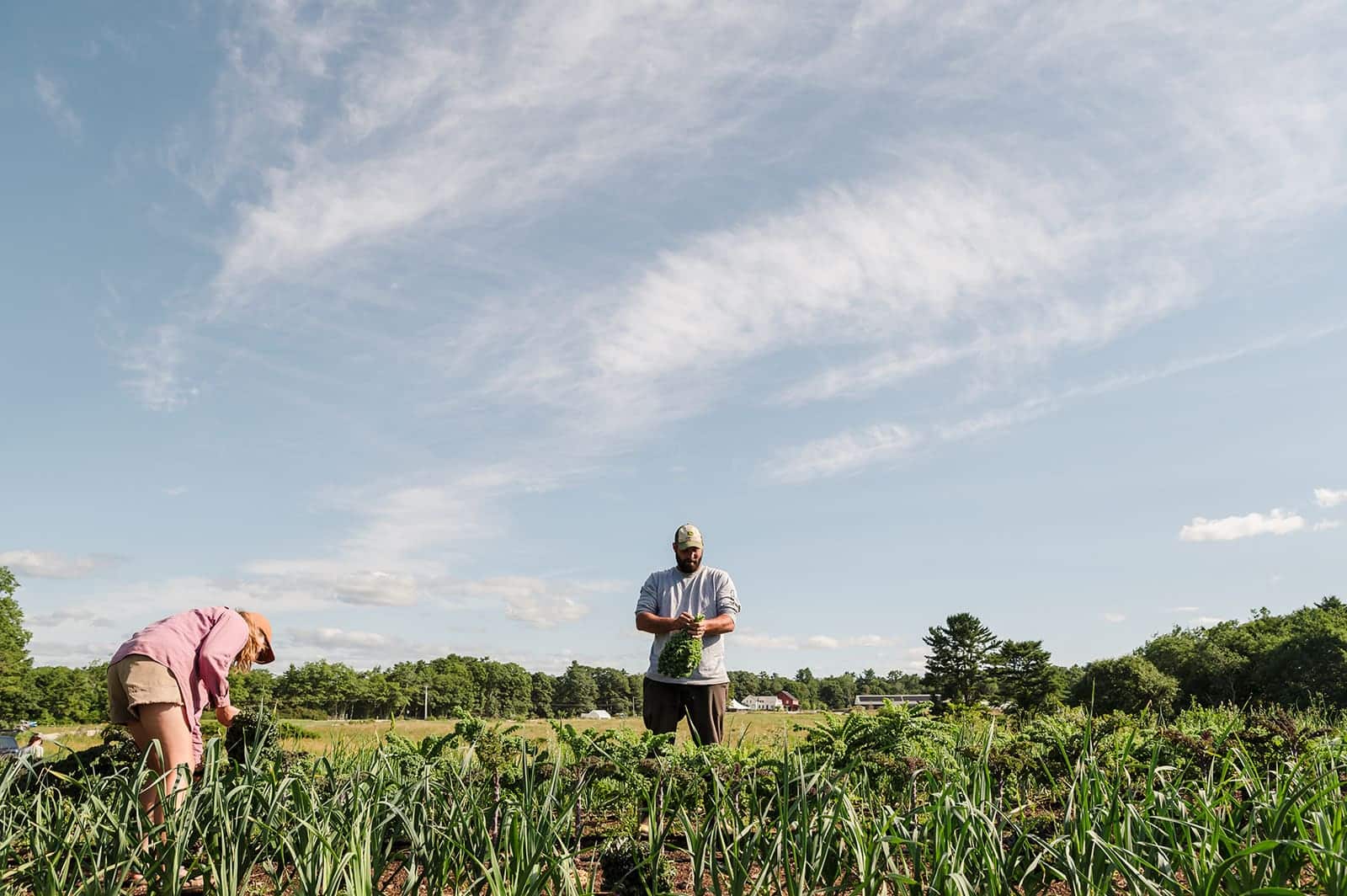 What is regenerative agriculture?